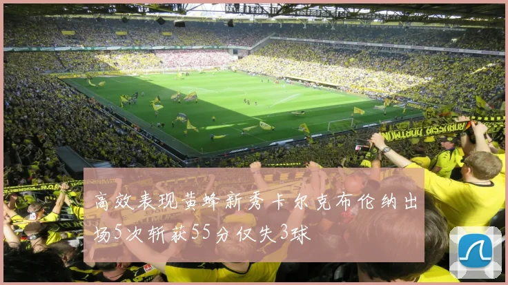 高效表现黄蜂新秀卡尔克布伦纳出场5次斩获55分仅失3球